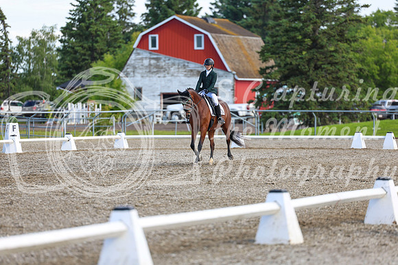 05619 - 2026 Dressage Festival - Sunday July 5th