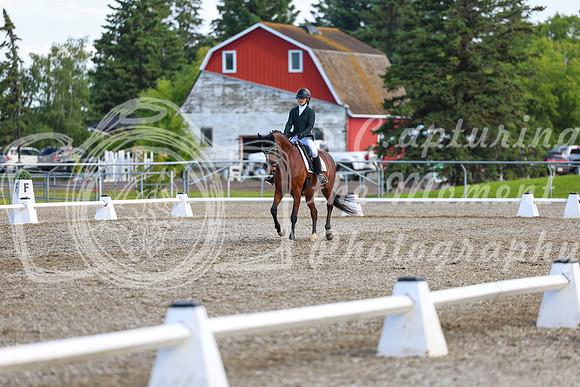 05621 - 2026 Dressage Festival - Sunday July 5th