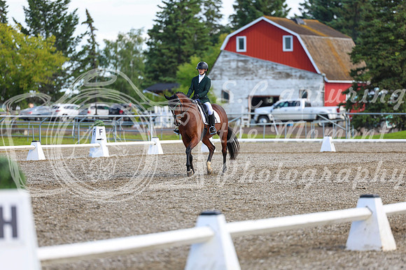 05627 - 2026 Dressage Festival - Sunday July 5th