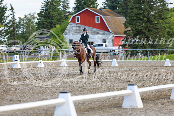 05625 - 2026 Dressage Festival - Sunday July 5th