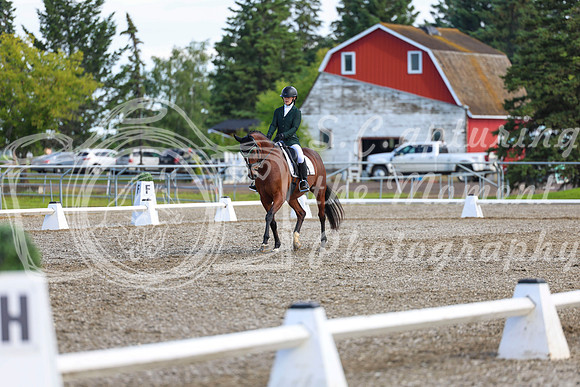 05628 - 2026 Dressage Festival - Sunday July 5th