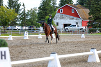 05629 - 2026 Dressage Festival - Sunday July 5th