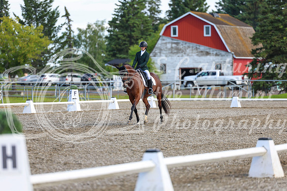 05629 - 2026 Dressage Festival - Sunday July 5th
