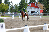 05630 - 2026 Dressage Festival - Sunday July 5th