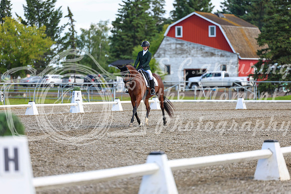 05630 - 2026 Dressage Festival - Sunday July 5th