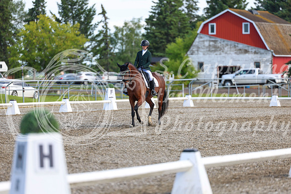 05631 - 2026 Dressage Festival - Sunday July 5th