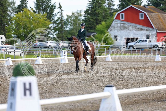 05632 - 2026 Dressage Festival - Sunday July 5th
