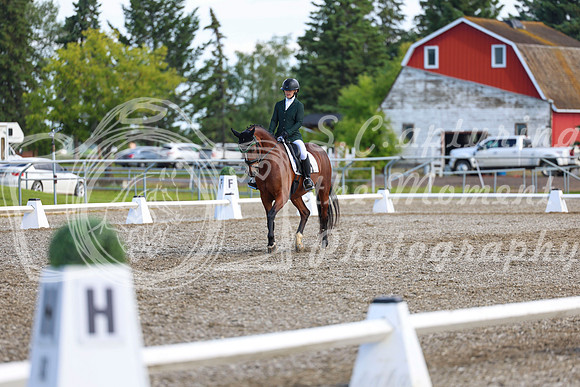 05633 - 2026 Dressage Festival - Sunday July 5th