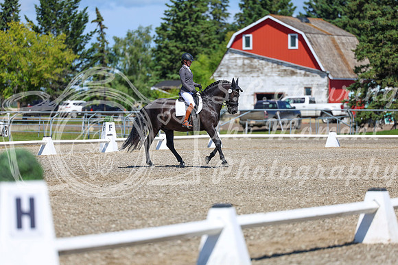 10438 - 2026 Dressage Festival - Sunday July 5th