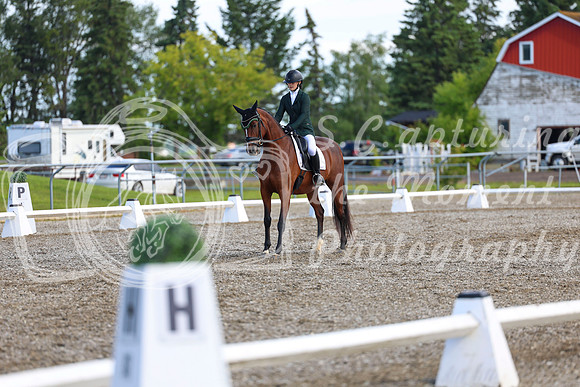 05636 - 2026 Dressage Festival - Sunday July 5th