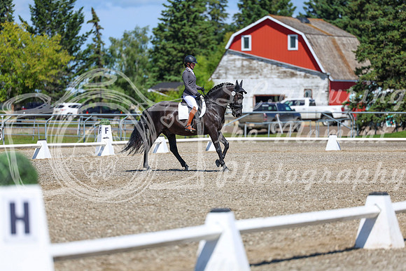 10439 - 2026 Dressage Festival - Sunday July 5th