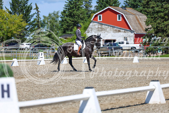 10440 - 2026 Dressage Festival - Sunday July 5th