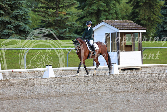 05655 - 2026 Dressage Festival - Sunday July 5th
