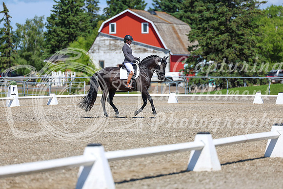 10441 - 2026 Dressage Festival - Sunday July 5th