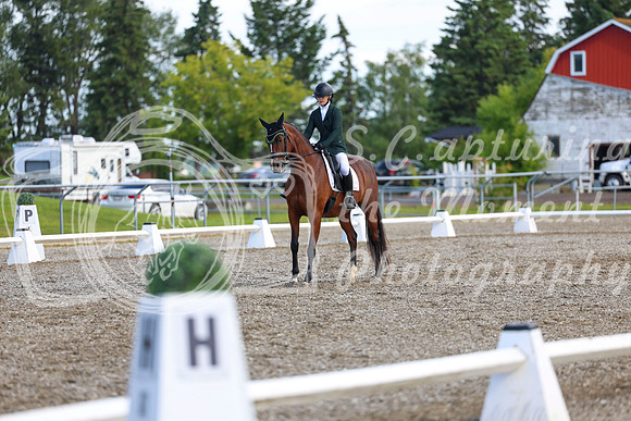 05638 - 2026 Dressage Festival - Sunday July 5th