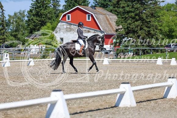 10442 - 2026 Dressage Festival - Sunday July 5th
