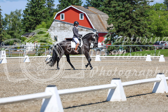 10443 - 2026 Dressage Festival - Sunday July 5th