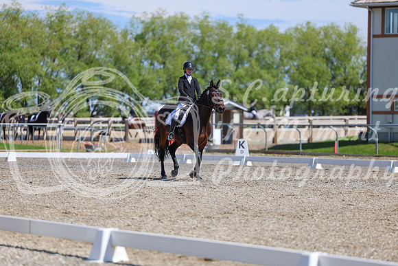10444 - 2026 Dressage Festival - Sunday July 5th