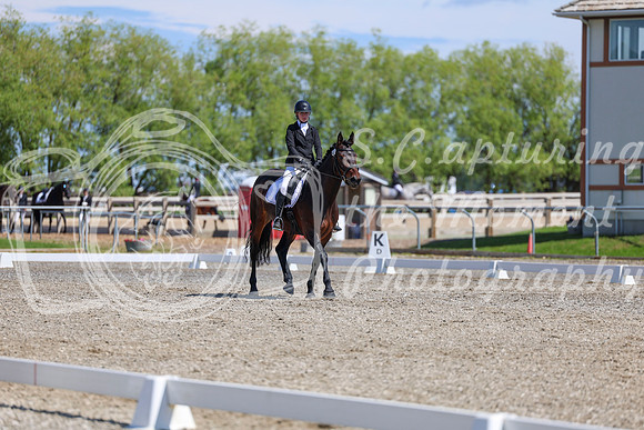 10447 - 2026 Dressage Festival - Sunday July 5th