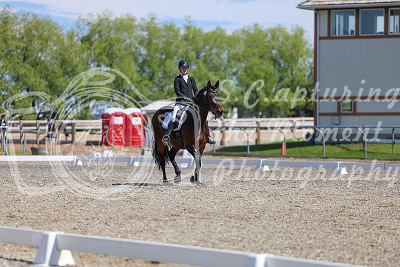 10448 - 2026 Dressage Festival - Sunday July 5th