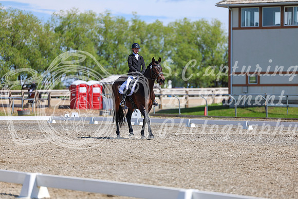 10451 - 2026 Dressage Festival - Sunday July 5th