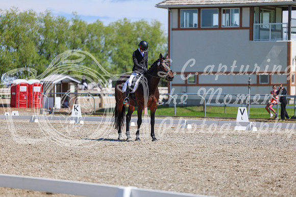 10452 - 2026 Dressage Festival - Sunday July 5th
