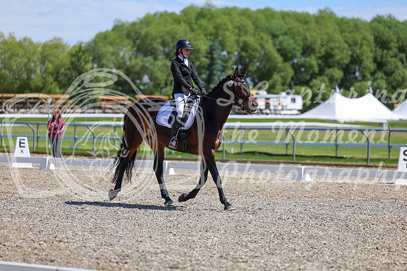 10460 - 2026 Dressage Festival - Sunday July 5th