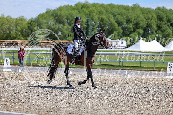 10461 - 2026 Dressage Festival - Sunday July 5th