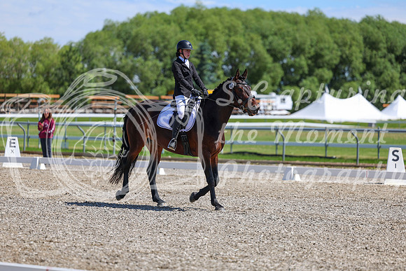 10462 - 2026 Dressage Festival - Sunday July 5th