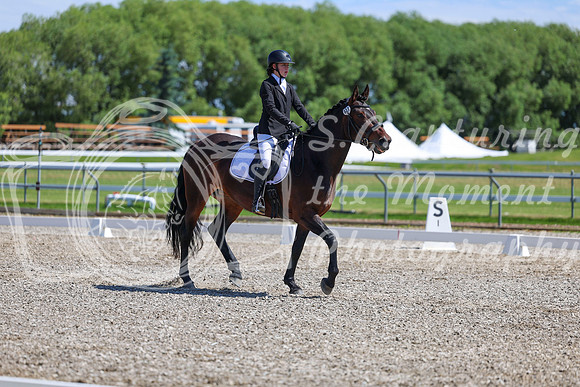 10464 - 2026 Dressage Festival - Sunday July 5th
