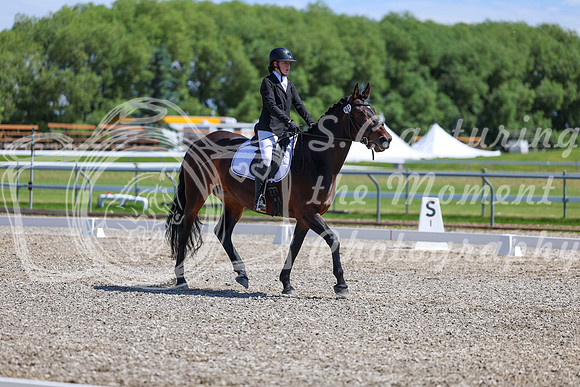 10465 - 2026 Dressage Festival - Sunday July 5th