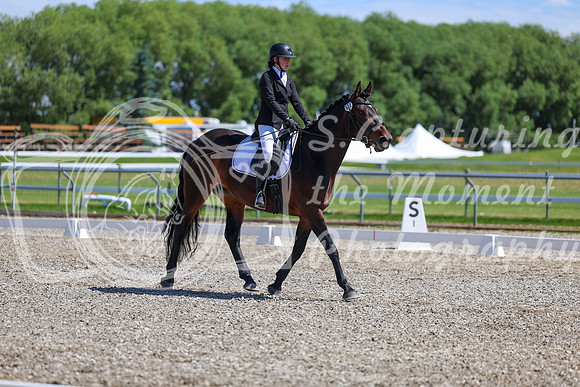 10467 - 2026 Dressage Festival - Sunday July 5th