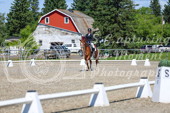 11103 - 2026 Dressage Festival - Sunday July 5th