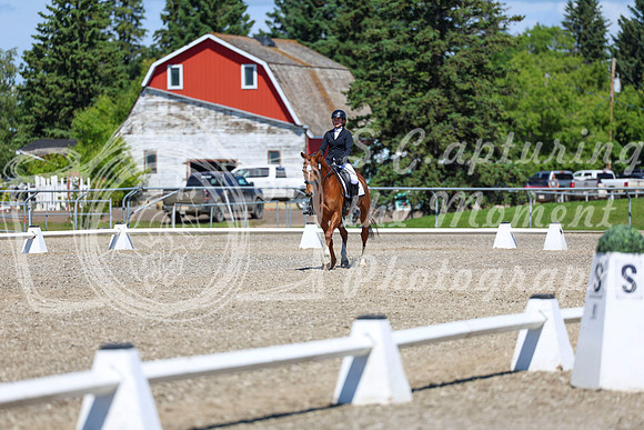 11102 - 2026 Dressage Festival - Sunday July 5th