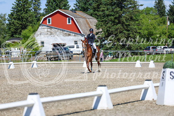11105 - 2026 Dressage Festival - Sunday July 5th