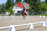11107 - 2026 Dressage Festival - Sunday July 5th