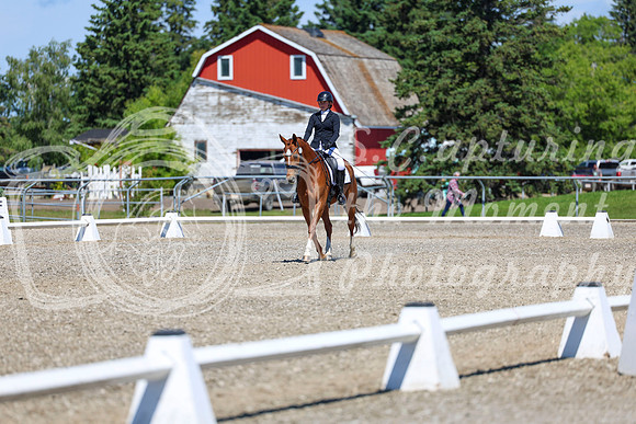 11109 - 2026 Dressage Festival - Sunday July 5th