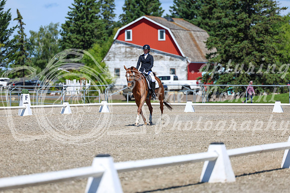 11111 - 2026 Dressage Festival - Sunday July 5th