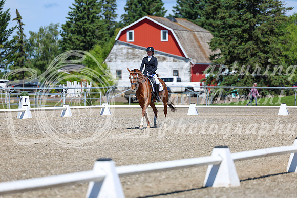 11110 - 2026 Dressage Festival - Sunday July 5th