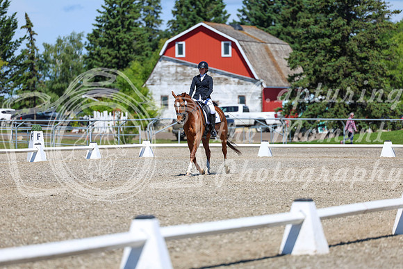 11112 - 2026 Dressage Festival - Sunday July 5th