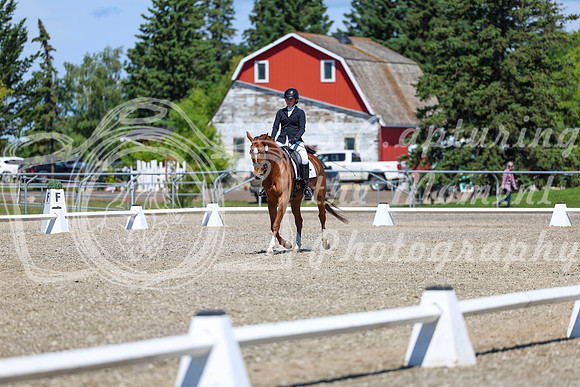 11113 - 2026 Dressage Festival - Sunday July 5th