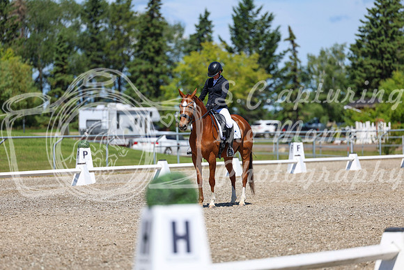 11114 - 2026 Dressage Festival - Sunday July 5th