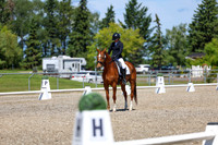 11115 - 2026 Dressage Festival - Sunday July 5th