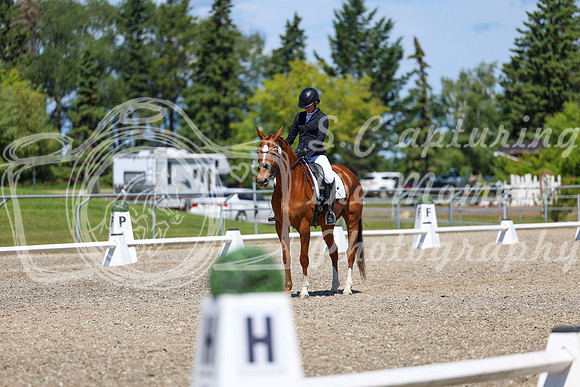 11115 - 2026 Dressage Festival - Sunday July 5th