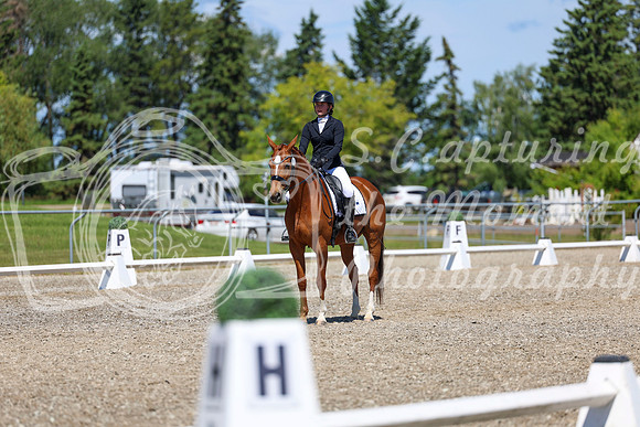 11118 - 2026 Dressage Festival - Sunday July 5th