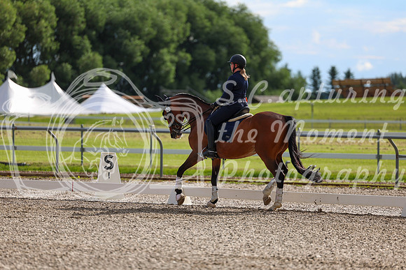02092 - 2026 Dressage Festival - Sunday July 5th