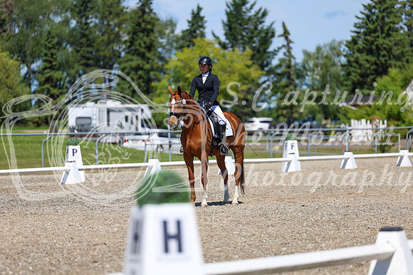 11121 - 2026 Dressage Festival - Sunday July 5th