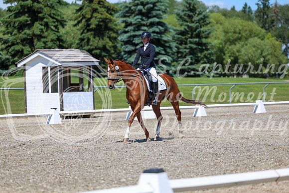 11123 - 2026 Dressage Festival - Sunday July 5th
