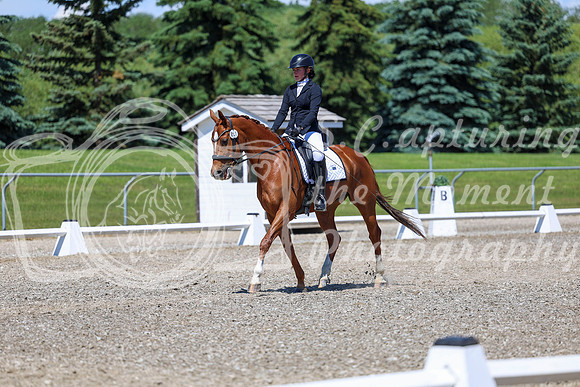 11126 - 2026 Dressage Festival - Sunday July 5th