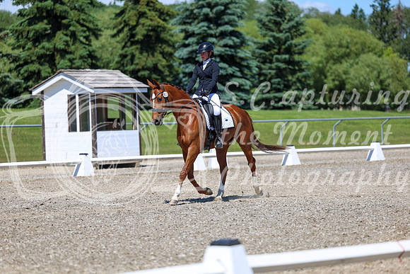 11125 - 2026 Dressage Festival - Sunday July 5th